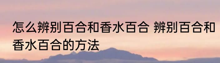 怎么辨别百合和香水百合 辨别百合和香水百合的方法