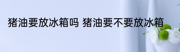 猪油要放冰箱吗 猪油要不要放冰箱