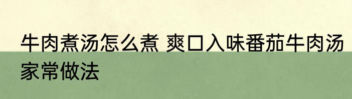 牛肉煮汤怎么煮 爽口入味番茄牛肉汤家常做法