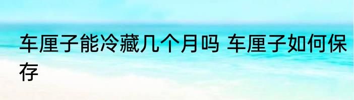 车厘子能冷藏几个月吗 车厘子如何保存