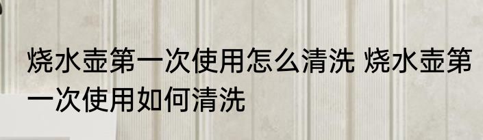 烧水壶第一次使用怎么清洗 烧水壶第一次使用如何清洗