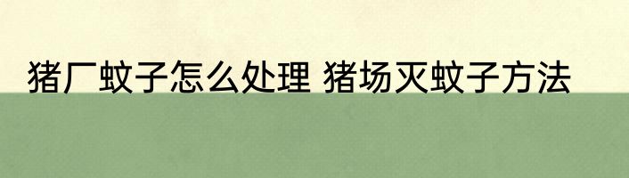 饺子馅怎么做好吃视频 饺子馅怎么做好吃