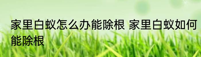 家里白蚁怎么办能除根 家里白蚁如何能除根