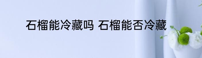 石榴能冷藏吗 石榴能否冷藏
