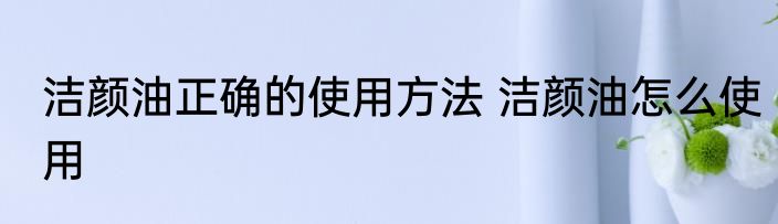 洁颜油正确的使用方法 洁颜油怎么使用