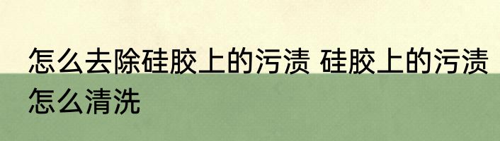 怎么去除硅胶上的污渍 硅胶上的污渍怎么清洗