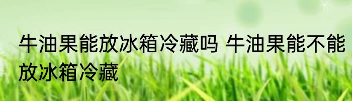 牛油果能放冰箱冷藏吗 牛油果能不能放冰箱冷藏