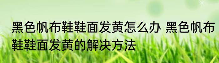 黑色帆布鞋鞋面发黄怎么办 黑色帆布鞋鞋面发黄的解决方法