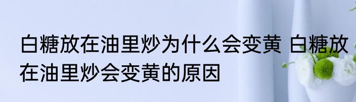 白糖放在油里炒为什么会变黄 白糖放在油里炒会变黄的原因