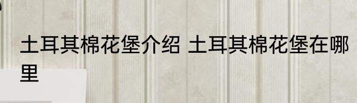 土耳其棉花堡介绍 土耳其棉花堡在哪里