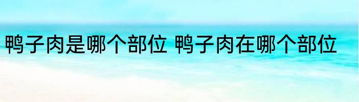 鸭子肉是哪个部位 鸭子肉在哪个部位