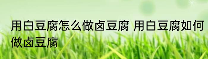 用白豆腐怎么做卤豆腐 用白豆腐如何做卤豆腐
