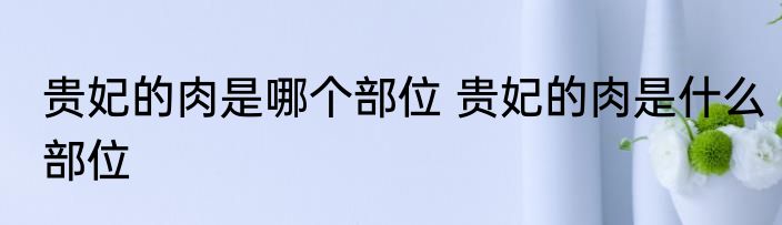贵妃的肉是哪个部位 贵妃的肉是什么部位