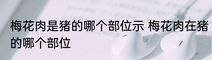 梅花肉是猪的哪个部位示 梅花肉在猪的哪个部位