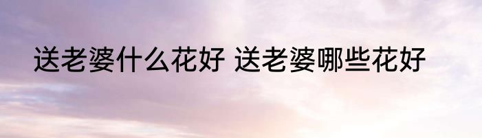 送老婆什么花好 送老婆哪些花好