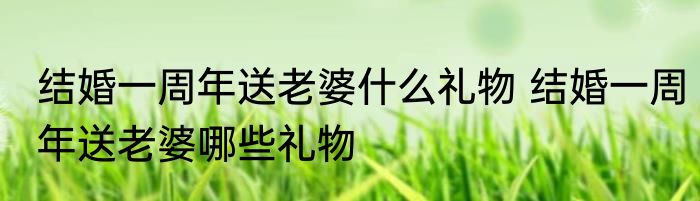 结婚一周年送老婆什么礼物 结婚一周年送老婆哪些礼物