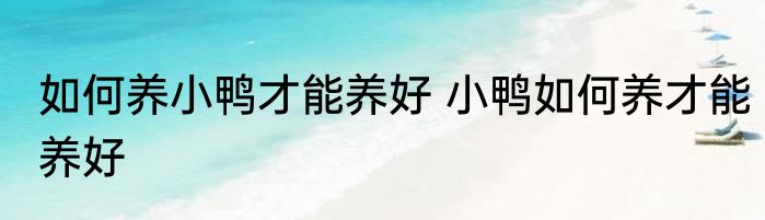 如何养小鸭才能养好 小鸭如何养才能养好