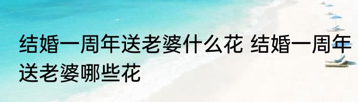 结婚一周年送老婆什么花 结婚一周年送老婆哪些花