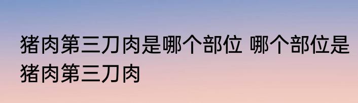 猪肉第三刀肉是哪个部位 哪个部位是猪肉第三刀肉