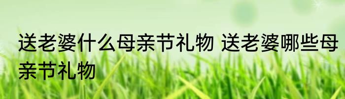 送老婆什么母亲节礼物 送老婆哪些母亲节礼物