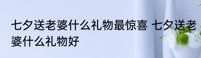 七夕送老婆什么礼物最惊喜 七夕送老婆什么礼物好