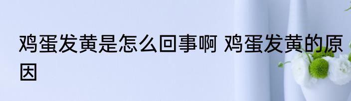鸡蛋发黄是怎么回事啊 鸡蛋发黄的原因