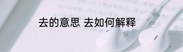 去的意思 去如何解释