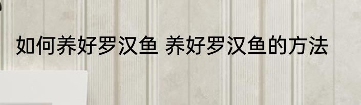 如何养好罗汉鱼 养好罗汉鱼的方法