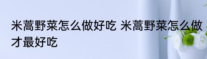 米蒿野菜怎么做好吃 米蒿野菜怎么做才最好吃