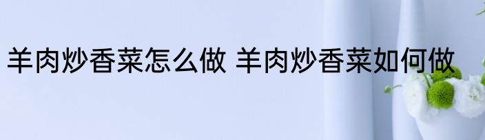羊肉炒香菜怎么做 羊肉炒香菜如何做