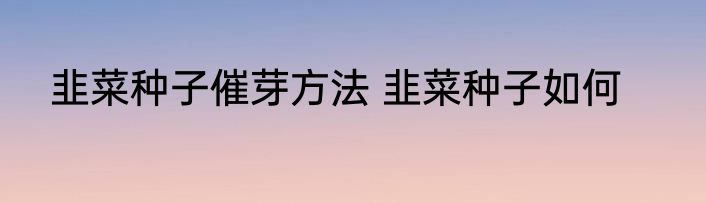 韭菜种子催芽方法 韭菜种子如何