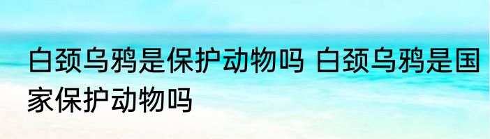 白颈乌鸦是保护动物吗 白颈乌鸦是国家保护动物吗
