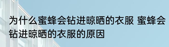 为什么蜜蜂会钻进晾晒的衣服 蜜蜂会钻进晾晒的衣服的原因