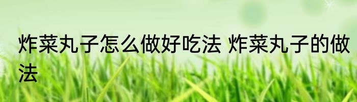 炸菜丸子怎么做好吃法 炸菜丸子的做法