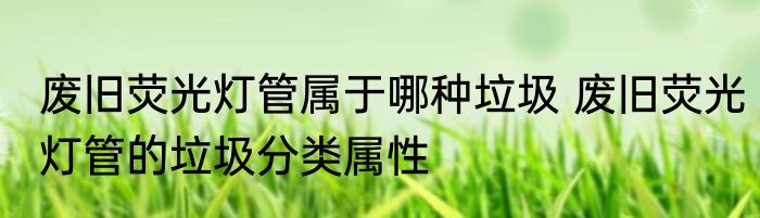 废旧荧光灯管属于哪种垃圾 废旧荧光灯管的垃圾分类属性