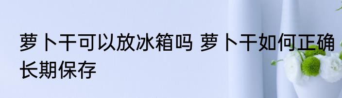 萝卜干可以放冰箱吗 萝卜干如何正确长期保存