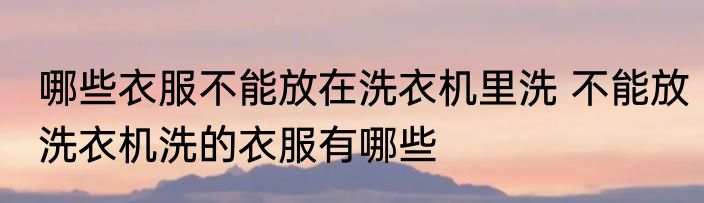 哪些衣服不能放在洗衣机里洗 不能放洗衣机洗的衣服有哪些