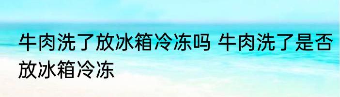 牛肉洗了放冰箱冷冻吗 牛肉洗了是否放冰箱冷冻