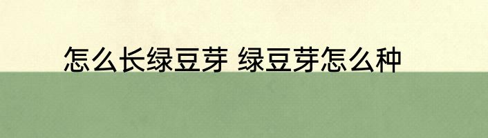 怎么长绿豆芽 绿豆芽怎么种
