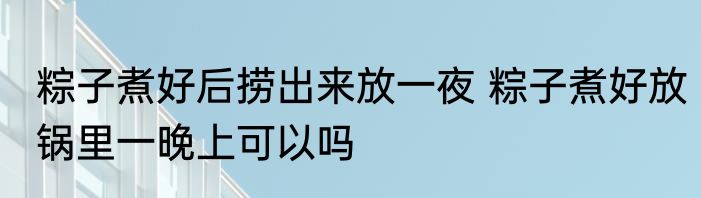 粽子煮好后捞出来放一夜 粽子煮好放锅里一晚上可以吗