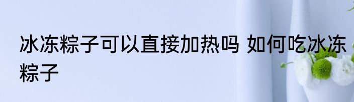 冰冻粽子可以直接加热吗 如何吃冰冻粽子
