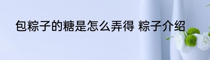 包粽子的糖是怎么弄得 粽子介绍
