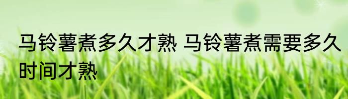 马铃薯煮多久才熟 马铃薯煮需要多久时间才熟