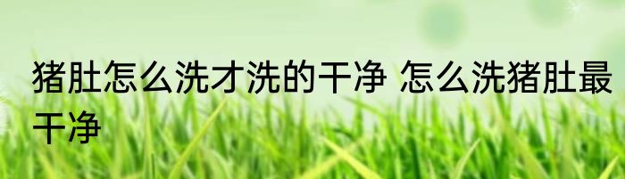 猪肚怎么洗才洗的干净 怎么洗猪肚最干净