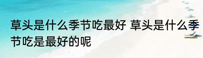 草头是什么季节吃最好 草头是什么季节吃是最好的呢