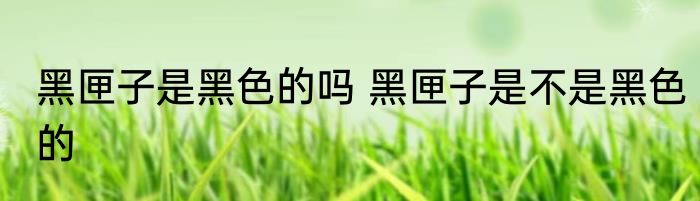 黑匣子是黑色的吗 黑匣子是不是黑色的