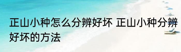 正山小种怎么分辨好坏 正山小种分辨好坏的方法
