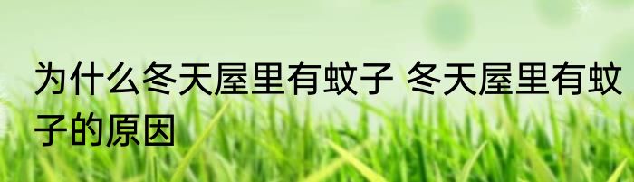 为什么冬天屋里有蚊子 冬天屋里有蚊子的原因