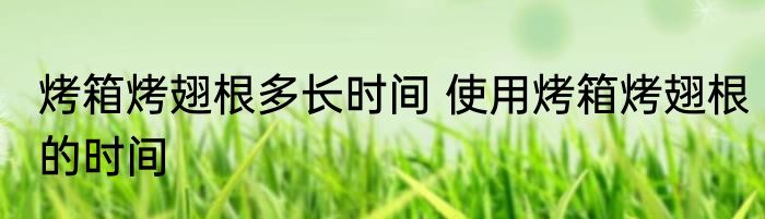 烤箱烤翅根多长时间 使用烤箱烤翅根的时间