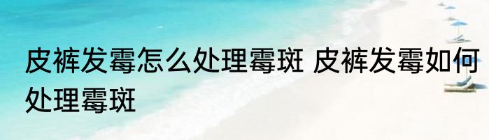 皮裤发霉怎么处理霉斑 皮裤发霉如何处理霉斑